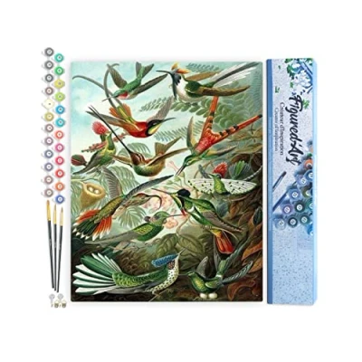 Afbeelding van Figured&#039;Art Schilderen op Nummer Volwassenen canvas Alle vogels Handwerk acrylverf Kit DIY Compleet 40x50cm zonder frame