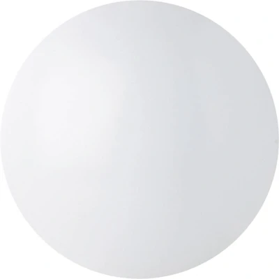 Afbeelding van Megaman MM77121 Renzo Plus LED plafondlamp 15 W Wit
