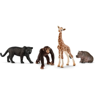 Afbeelding van Schleich WILD LIFE Starterset 72162