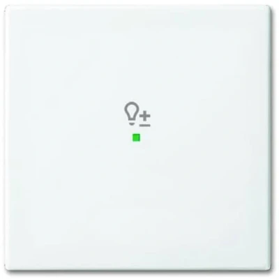 Afbeelding van ABB Busch Jaeger FreeAtHome Schakelelement/Centrale Plaat 2CKA006220A0359 E379T