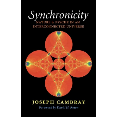Afbeelding van Synchronicity: Nature and Psyche in an Interconnected Universe Volume 15