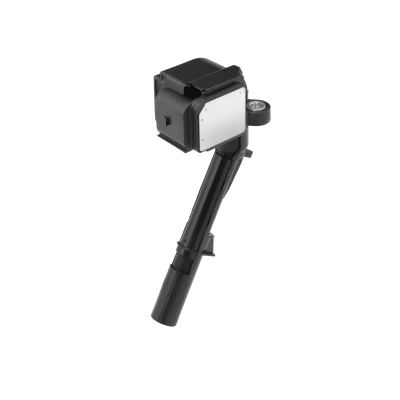 Afbeelding van Bobine BERU ZSE242