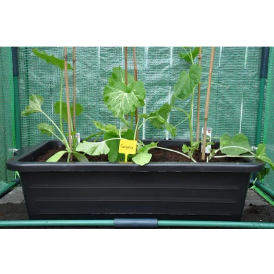 Afbeelding van Royal Well Maxi Container 40L kweekbak