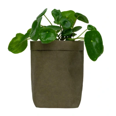 Afbeelding van QUVIO Plantenzak uitwasbaar 10x10x20cm Donker groen
