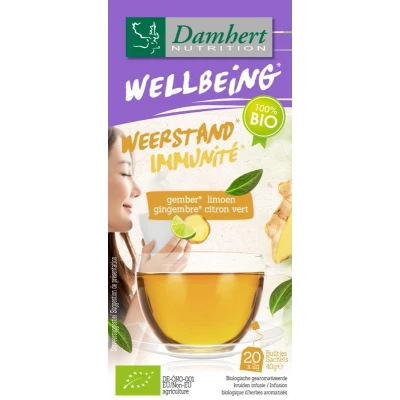Afbeelding van 6x Damhert Wellbeing Thee Weerstand Gember Limoen 20 stuks