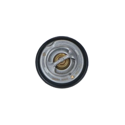 Afbeelding van Thermostaat, koelvloeistof NRF 725062
