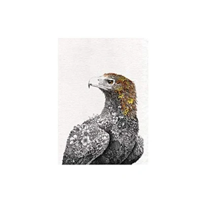 Afbeelding van Maxwell &amp; Williams Marini Ferlazzo Vogels, Theedoek Bedrukt met Wigstaartarend, Katoenen Theedoek, Zwart/Wit, 50 x 70 Centimeter