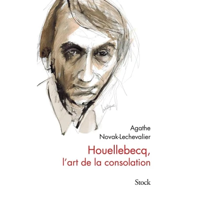 Afbeelding van Houellebecq, l&#039;art de la consolation