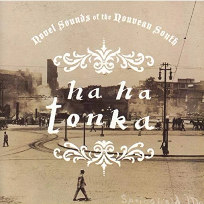 Afbeelding van Novel Sounds Of The Nouveau South
