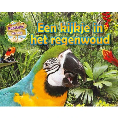 Afbeelding van Een kijkje in het regenwoud