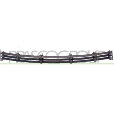 Afbeelding van PRASCO BM0972120 Bumper Grill Voor BMW: 7 (E38) 730d 2.9, 740d 3.9, 730 i, iL, 740 750 728 735 725 tds 1994 2001