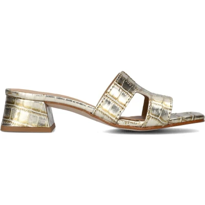 Afbeelding van Notre V Muiltjes, Dames, Maat: 37, Coco champagne Leer