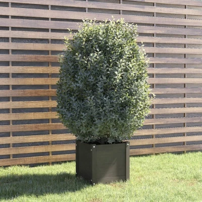 Afbeelding van Plantenbak 40x40x40 cm massief grenenhout grijs
