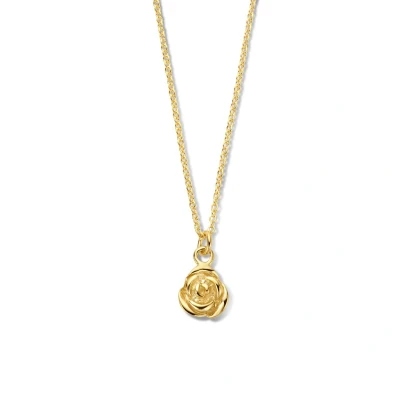 Afbeelding van zilver verguld (geel) collier bloem 41 + 4 cm 2103065 horloge Goudkleur 45