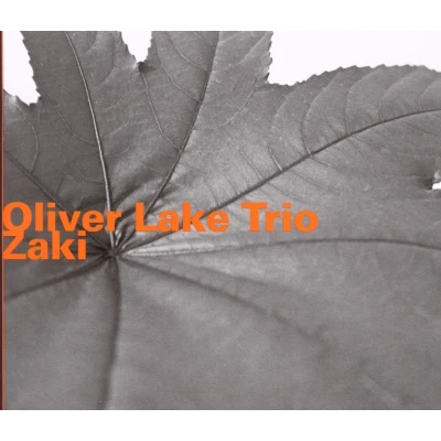 Afbeelding van Oliver Lake Trio Zaki (CD)