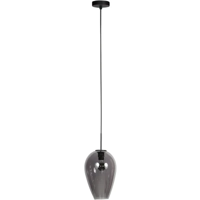 Afbeelding van Steinhauer Hanglamp HaloSwap met 1 smoke glas Ø 22,5cm 4289ZW
