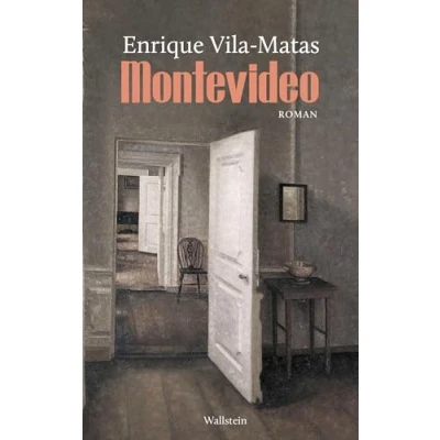 Afbeelding van Montevideo: Roman