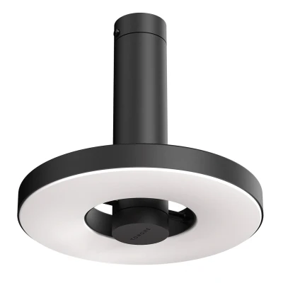 Afbeelding van Tonone Beads plafond en wandlamp Ø21.5 LED downlight install zwart