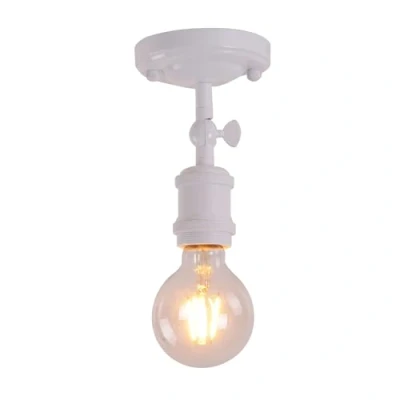 Afbeelding van TWSXTE Wit industriële plafondlamp, Modern wandlampen, antieke spots, E27 plafondlampen en wandlampen（lampen niet inbegrepen）
