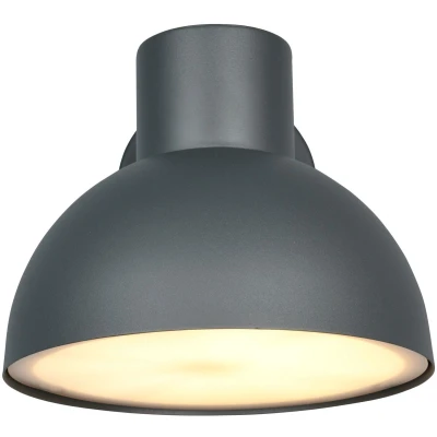Afbeelding van TRIO ELBE Wandlamp Antraciet excl. 1x E27 4,9 W Wandmontage Buitenverlichting IP44
