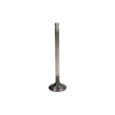 Afbeelding van TRW Engine Component Inlaatklep 48335
