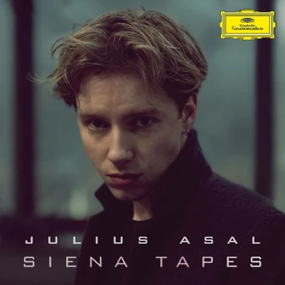 Afbeelding van Julius Asal Siena Tapes (LP)