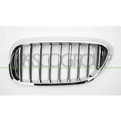 Afbeelding van Radiateurgrille PRASCO BM0522014