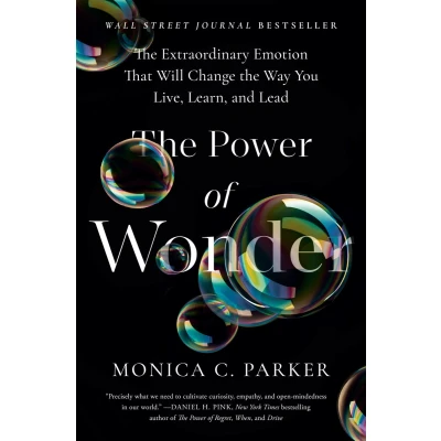 Afbeelding van the Power of Wonder: Extraordinary Emotion That Will Change Way You Live, Learn, and Lead