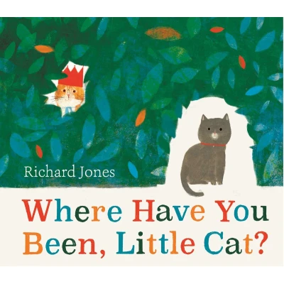 Afbeelding van Where Have You Been, Little Cat?: A Sunday Times Children&#039;s Book of the Week