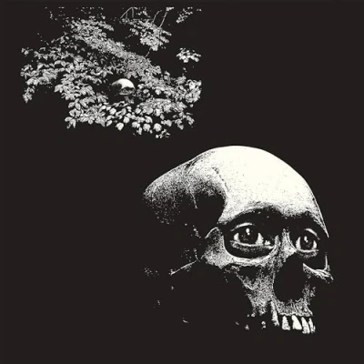 Afbeelding van Osees A Foul Form (CD)