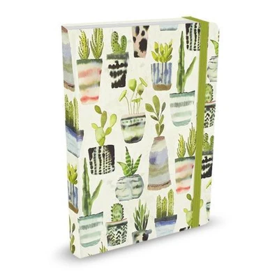 Afbeelding van Peter Pauper Notitieboek Watercolor Succulents (mid size)