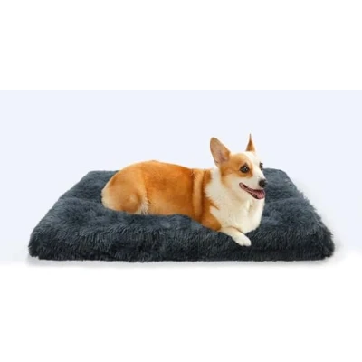 Afbeelding van MDDK DY Hondenbed, medium hondenkussen, wasbaar, pluizige hondenmat, lang pluche, zachte bekleding, multifunctionele donkergrijs, 75 x 50 8 cm