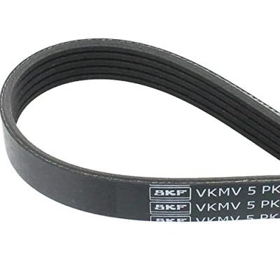 Afbeelding van SKF Poly V riem VKMV 5PK1334