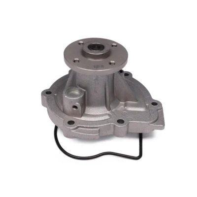 Afbeelding van HEPU P7421 Waterpomp Met pakking Mechanisch