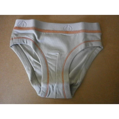 Afbeelding van Petit Bateau Onderbroek Jongens Slip Kaki 8 jaar 126