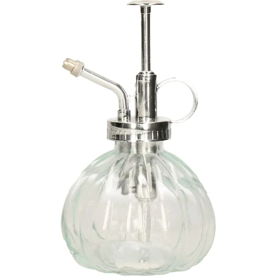 Afbeelding van Esschert Design plantenspuit/vernevelaar helder glas/zilver 15.5 cm Plantenspuiten
