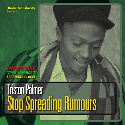 Afbeelding van Triston Palmer Stop Spreading Rumours (LP)