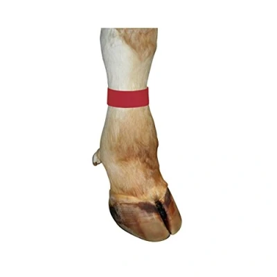 Afbeelding van Enkelband koe met klittenband rood 10 stuks