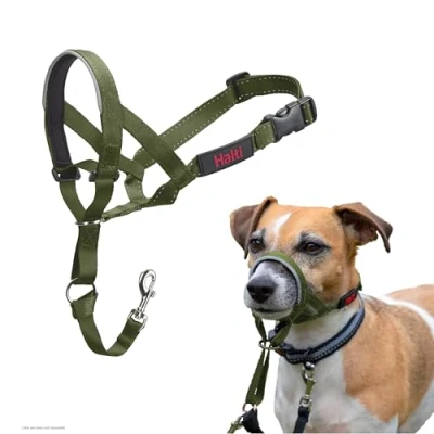 Afbeelding van Company of Animals HALTI Halster, om te voorkomen dat uw hond aan de riem trekt. Verstelbaar, reflecterend en licht, met gevoerde neusband, Forest Green, 1