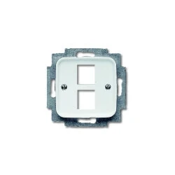 Afbeelding van Busch Jaeger centraalplaat data 2x MJ 2561 02 214 alpin wit