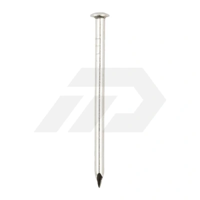 Afbeelding van Hjz draadnagel 1,8x30mm RVS bombé kop (Per 1 kg)