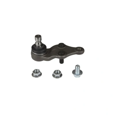 Afbeelding van Moog Fuseekogel HY BJ 13247