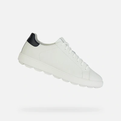 Afbeelding van Geox Spherica Ecub 1 herensneakers van leer, wit/blauw, gedempt en ademend, U45GPA 0009B C0899, Wit, 39 EU