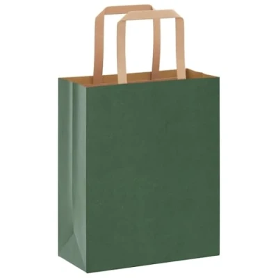 Afbeelding van Papieren kraftzakken 50 st met hengsels 18x8x22 cm groen