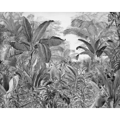 Afbeelding van Komar Vliesbehang Roraima 350x280 cm (breedte x hoogte)