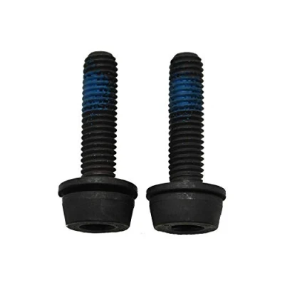 Afbeelding van Campagnolo dbs, Viti H11 (scheibenbr.) Ac18 dbsc19,2 X 19 10 14 mm Posteriore (1 Pezzi) Unisex Adulto, Nero