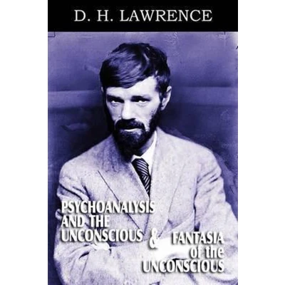 Afbeelding van Psychoanalysis and the Unconscious Fantasia of