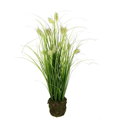 Afbeelding van Kunstgras met vossenstaart, in aarde, gras, kunstgras, siergras, groene planten, solitair decoratie, grasarrangement, borstengierst, panicoideae, zoetgras, Setaria