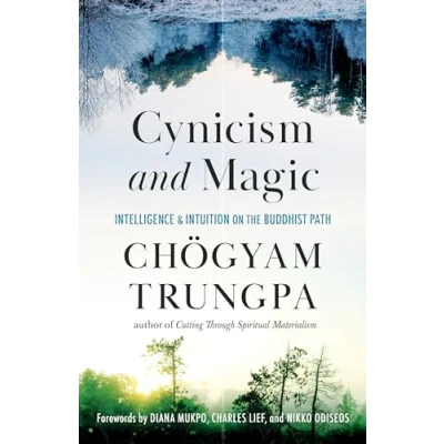 Afbeelding van Cynicism and Magic