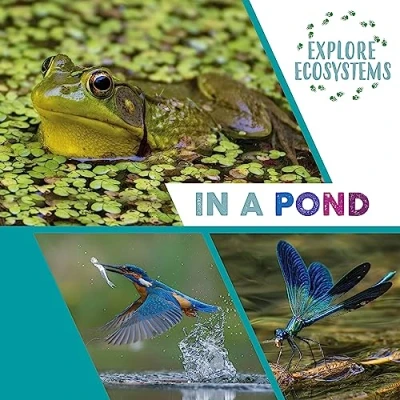 Afbeelding van Explore Ecosystems: In a Pond